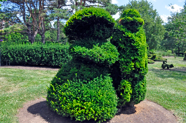 The topiary garden